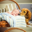 Newborn, novorozeneck� fotografie, Nikol Obrov� fotografka Praha, focen� d�t�